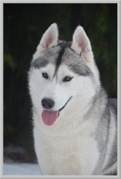 trinacria sweet lips