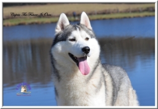 Caprio the future is ours